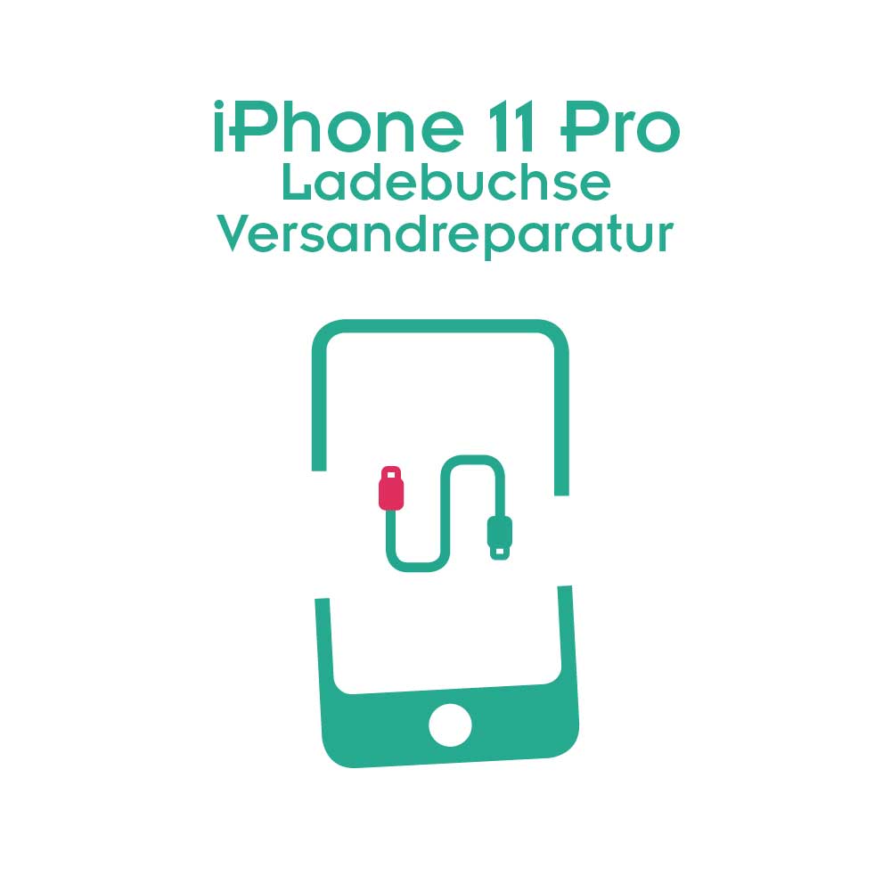 iPhone 11 Pro Ladebuchse Reparatur