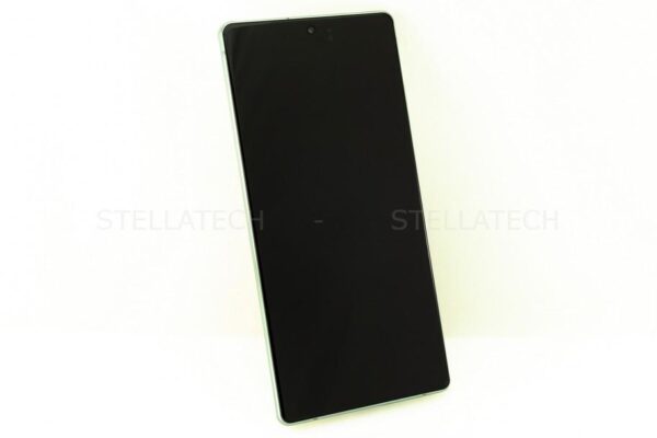 Samsung Galaxy Note 20 5G Display (mit Rahmen) Mystic Grün