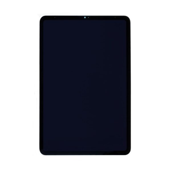 iPad Pro 11 (1. Gen) Display schwarz